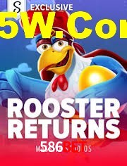 Crash Games Strategies 586bet